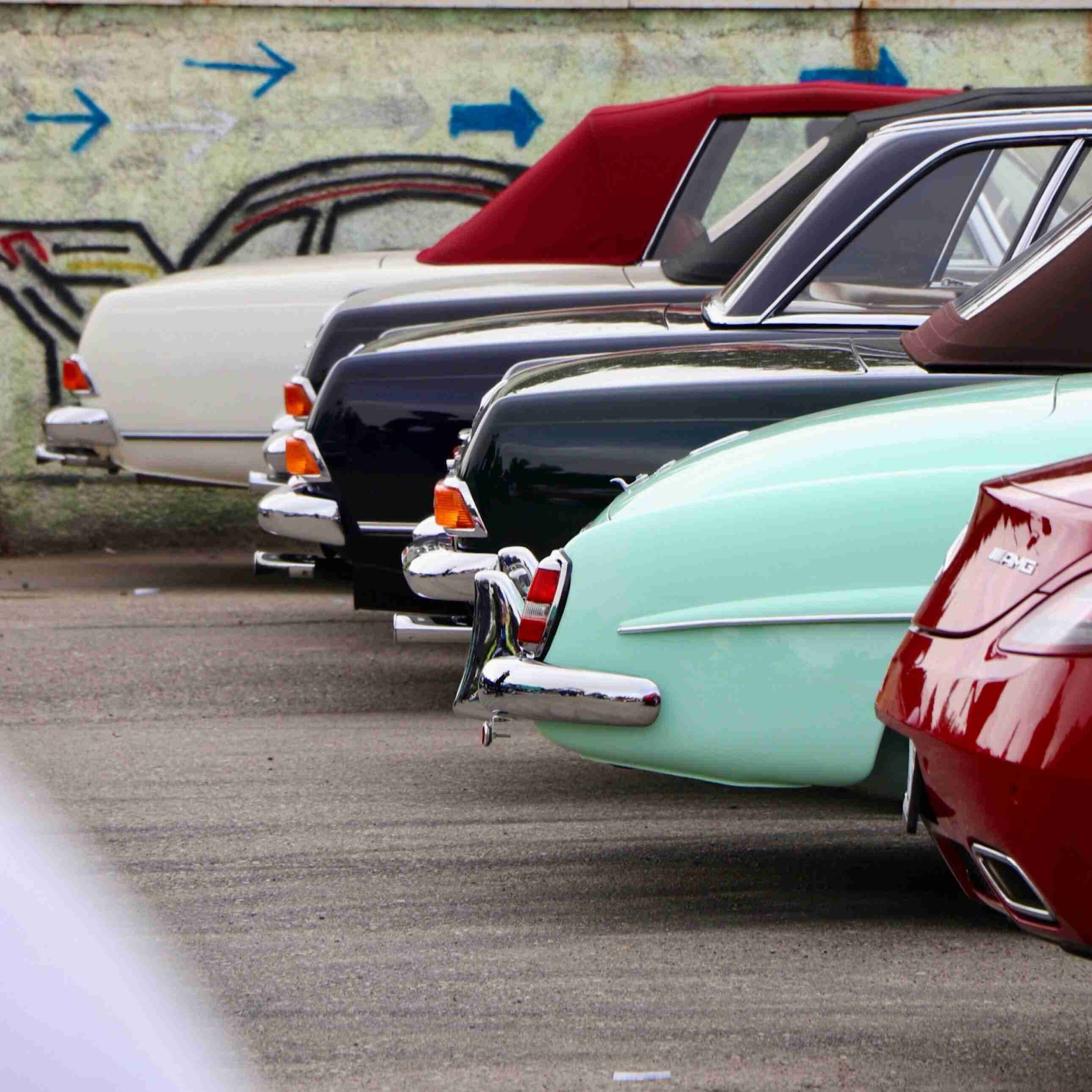 Community spot by elena_v